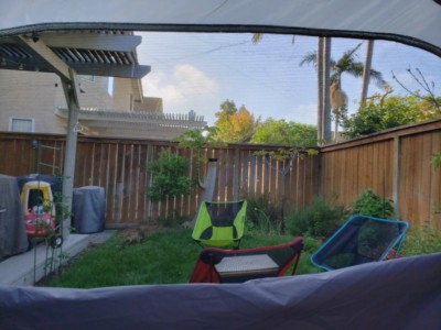 Window View of Backyard