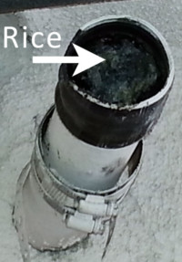 Ball of rice that clogged the kitchen pipe