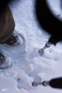 Snow on Mt Whitney Trail /yuenStudios 2014