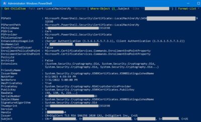 Certificate Details (PowerShell)