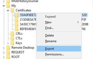Certificate Export (Windows Registry)